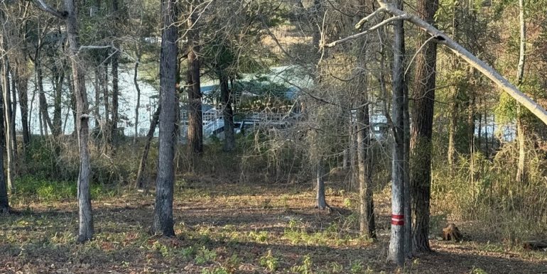 25 Memory Lake View 260213